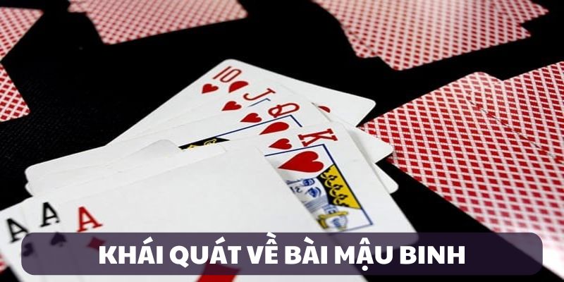mau-binh-gioi-thieu