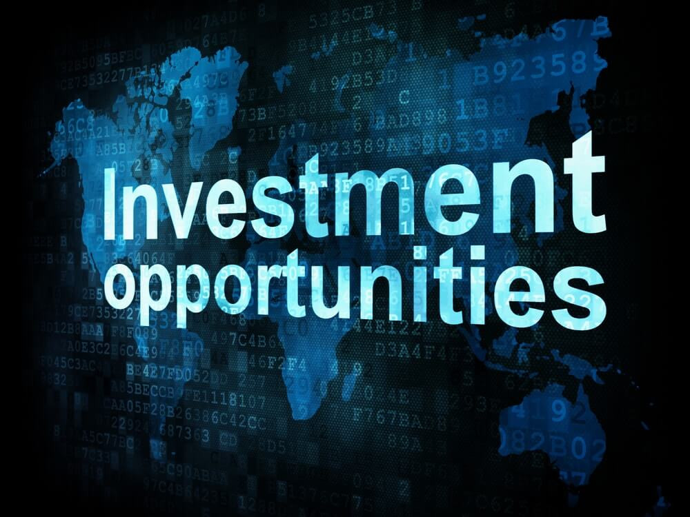 FORMS OF DIRECT INVESTMENT IN VIETNAM