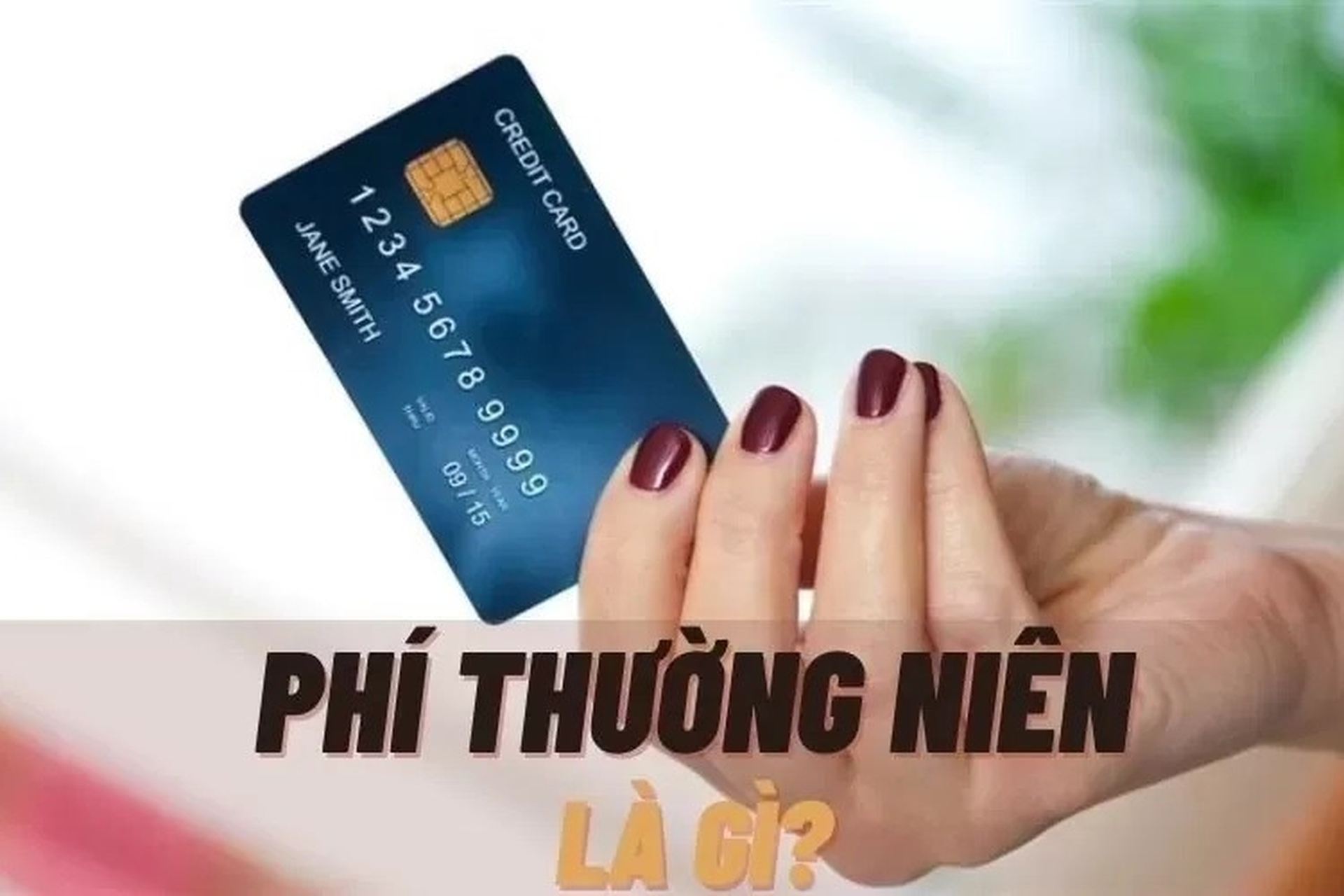Phí thường niên là gì? Loại thẻ áp dụng và mức phí mới nhất