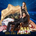 Soi Cầu Baccarat